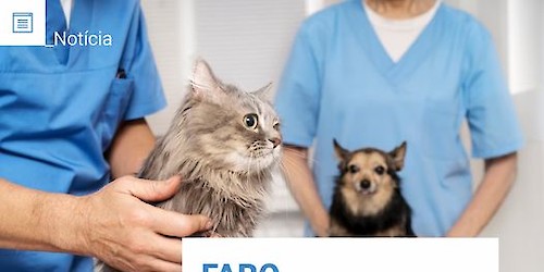 Município de Faro adere ao Cheque Veterinário