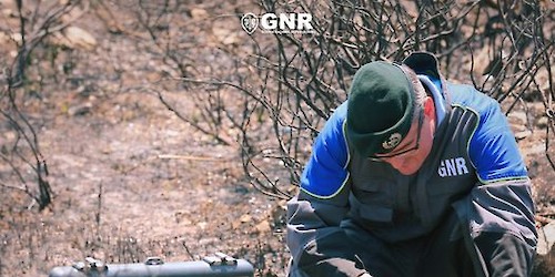 GNR | Sete detenções por crime de incêndio florestal entre 14 e 17 de setembro