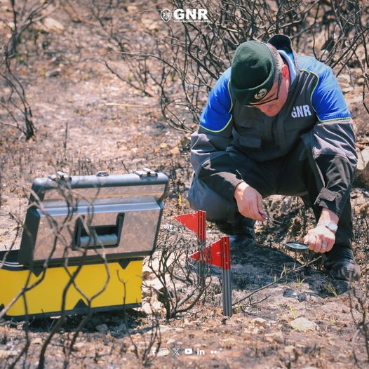 GNR | Sete detenções por crime de incêndio florestal entre 14 e 17 de setembro