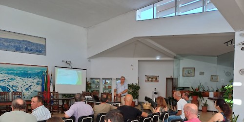 ALGARVE apresenta 250 candidaturas aos apoios à apicultura e biodiversidade