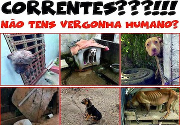 Vigília contra animais acorrentados, dia 5 de outubro, em Lagos