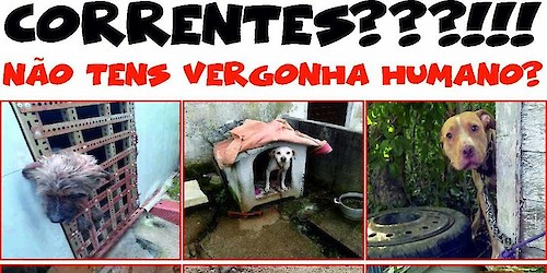 Vigília contra animais acorrentados, dia 5 de outubro, em Lagos