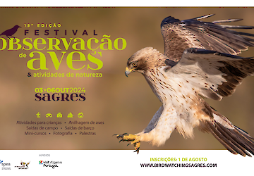 Maior evento nacional dedicado às aves e à Natureza arranca amanhã em Sagres