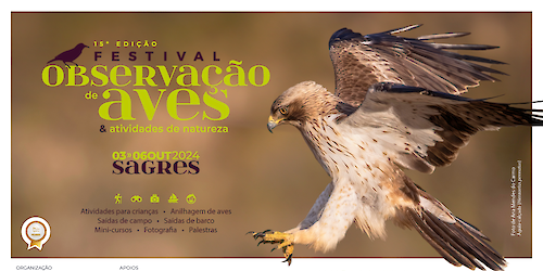 Maior evento nacional dedicado às aves e à Natureza arranca amanhã em Sagres