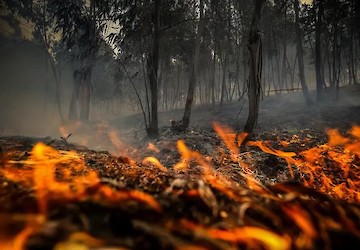 Em 2024 o fogo voltou a lavrar em Portugal