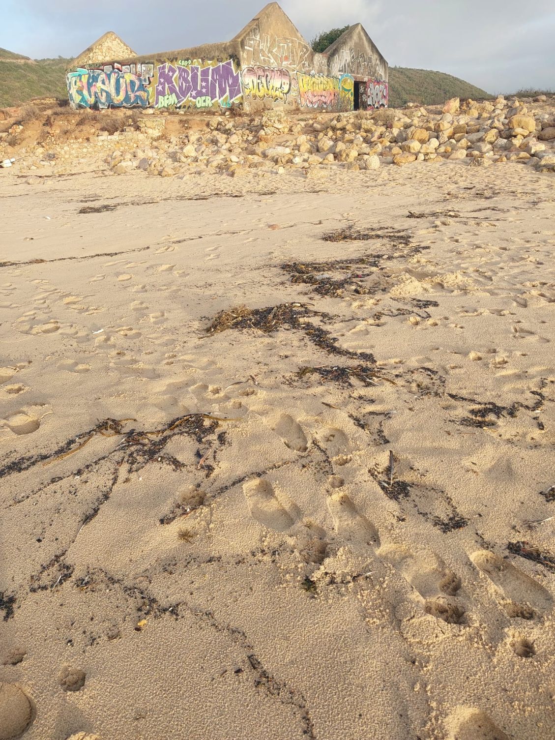 Detetado foco de poluição na praia de Cabanas Velhas em Vila do Bispo