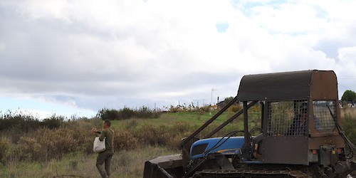 Caçadores de Castro Marim cumprem plano de prevenção de incêndios com limpeza de faixas de gestão de combustível e novas sementeiras