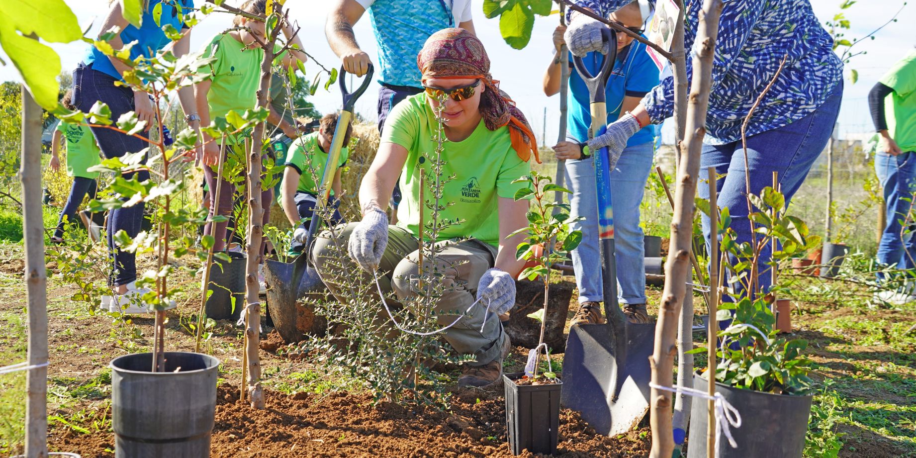 Zoomarine e Nativawaky plantam floresta Miyawaki em prol da regeneração do Algarve