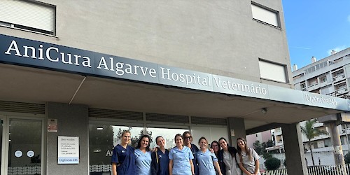 AniCura Algarve Hospital Veterinário expande estrutura e torna-se o hospital mais completo da região Sul