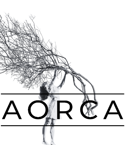 AORCA | OPEN CALL_Jovens Artistas de Lagos_Bolsas de Criação Artística