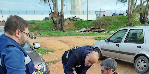 Município de Faro e Polícia de Segurança Pública realizam ação de fiscalização na área do bem-estar animal