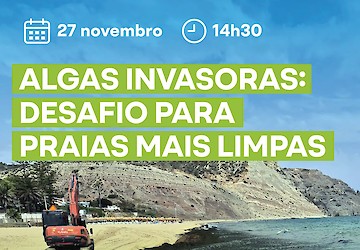 ALU e Município de Lagos promovem debate sobre o impacto de algas invasoras nas praias portuguesas