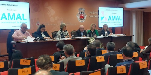 Assembleia Intermunicipal aprova Orçamento e GOP da AMAL para 2025