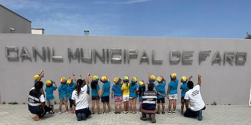 Centro de recolha oficial de animais de Faro celebra segundo aniversário