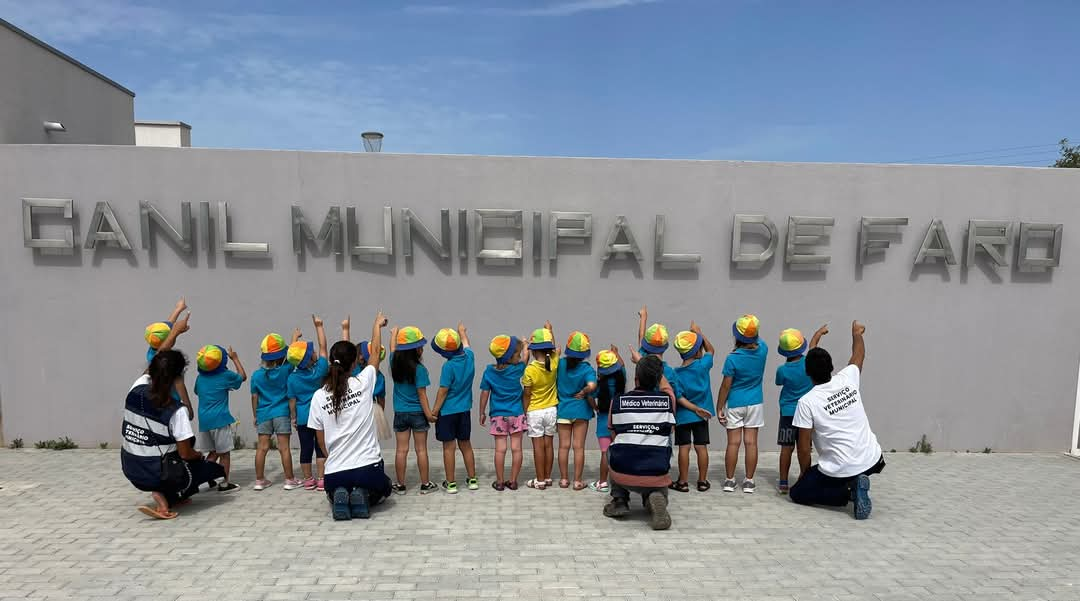 Centro de recolha oficial de animais de Faro celebra segundo aniversário