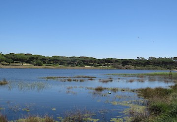 Reserva natural local da Foz da Almargem e do Trafal integra rede nacional de áreas protegidas