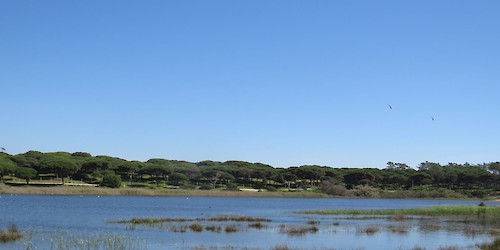 Reserva natural local da Foz da Almargem e do Trafal integra rede nacional de áreas protegidas