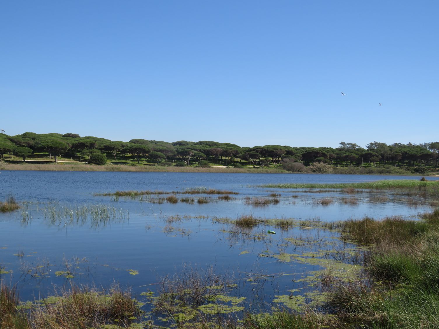 Reserva natural local da Foz da Almargem e do Trafal integra rede nacional de áreas protegidas