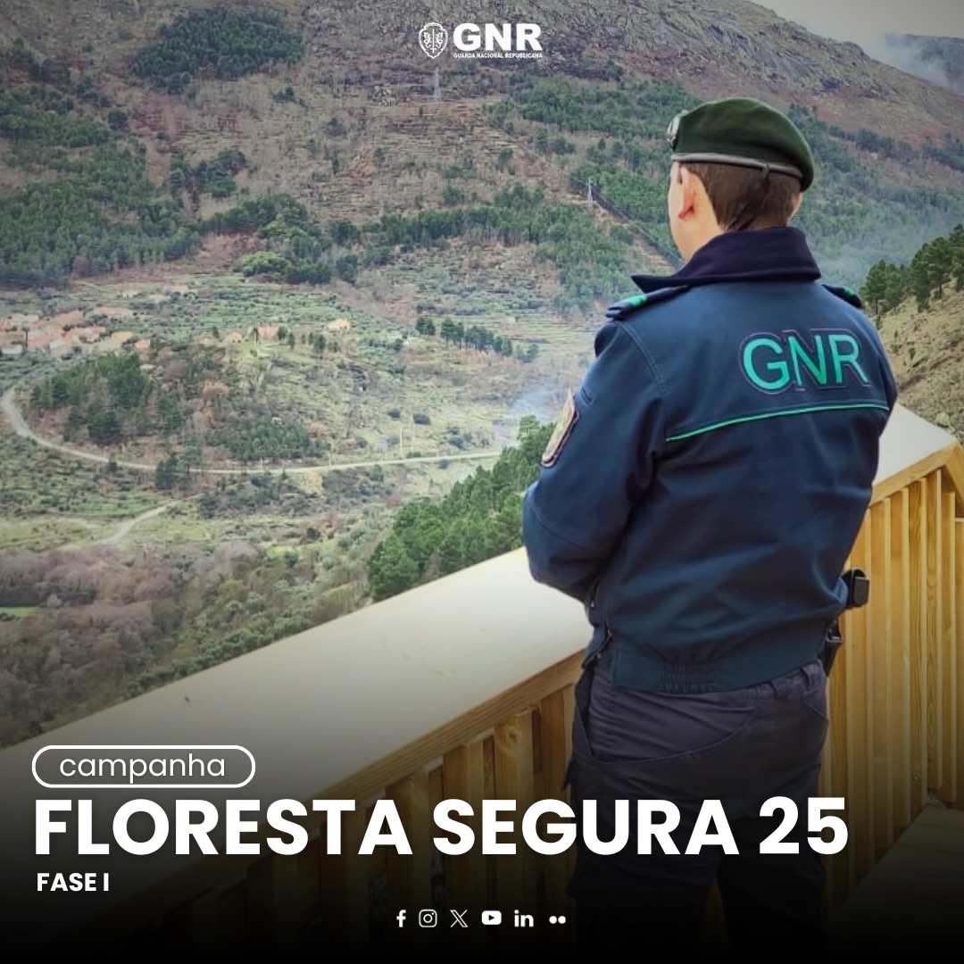 Campanha Floresta Segura 2025