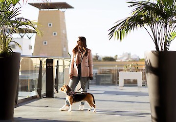 Já pode levar o seu animal de companhia a passear consigo ao Aqua Portimão: o centro comercial é Pet Friendly