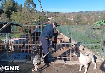 SEPNA – Balanço da Operação “Amica Canis 2025”