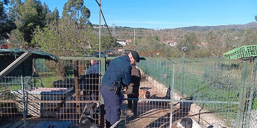 SEPNA – Balanço da Operação “Amica Canis 2025”