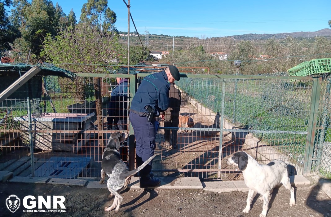 SEPNA – Balanço da Operação “Amica Canis 2025”