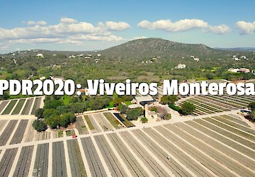 Viveiros Monterosa: agricultura, um ativo estratégico para o Algarve