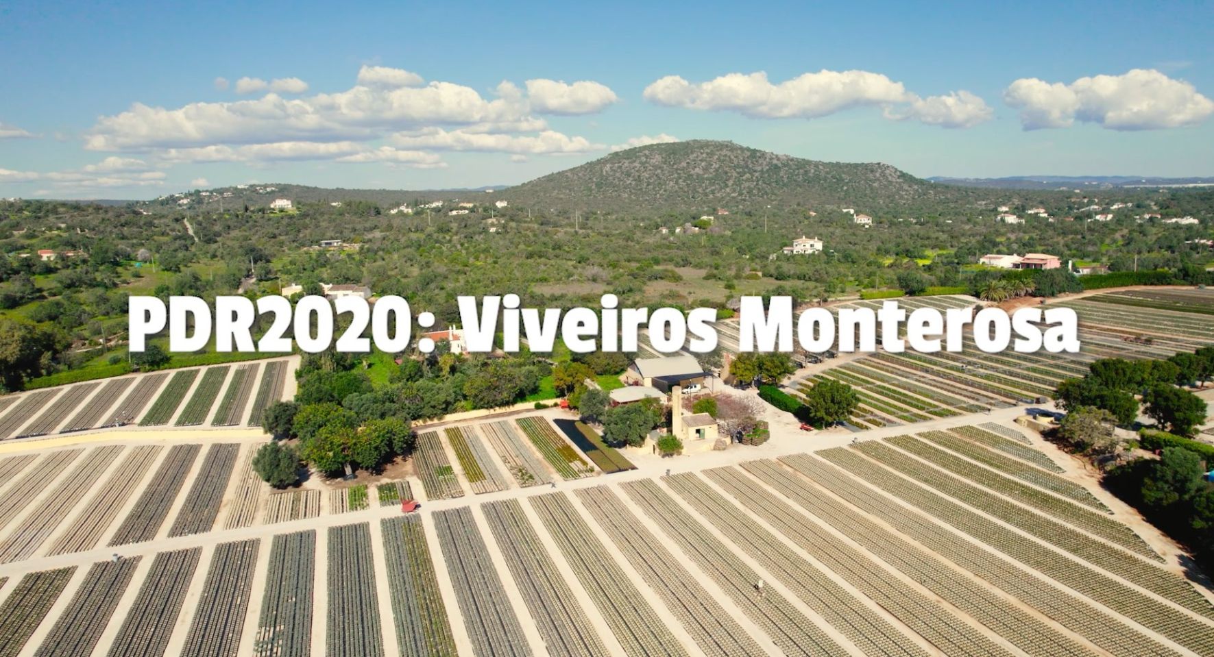 Viveiros Monterosa: agricultura, um ativo estratégico para o Algarve