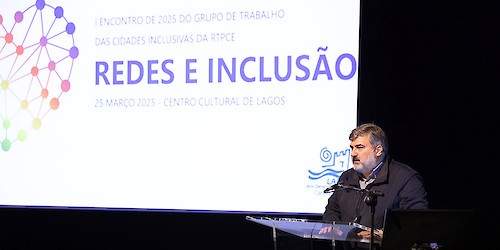 Cidades Inclusivas refletiram sobre como otimizar o trabalho em rede