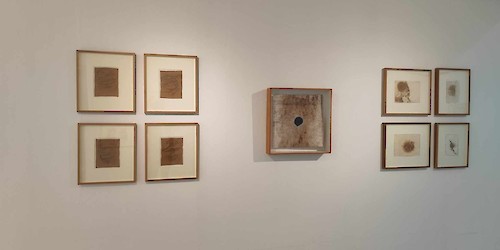 emguarda, de Edgar Massul, prolongada até 30 de abril