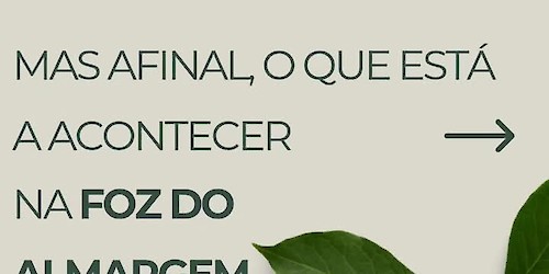 Protesto em defesa da Reserva Natural da Foz do Almargem e do Trafal