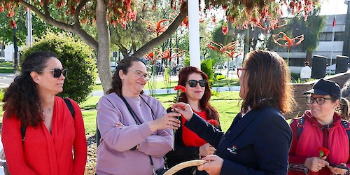 Município de Albufeira assinala o Dia da Liberdade com programa comemorativo diversificado