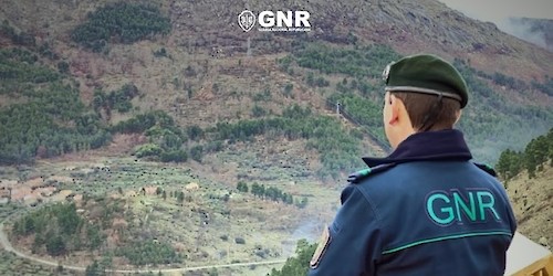 Campanha Floresta Segura 2025 – Ativação da Rede de Vigilância e Deteção de Incêndios
