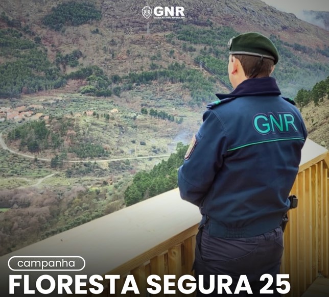 Campanha Floresta Segura 2025 – Ativação da Rede de Vigilância e Deteção de Incêndios