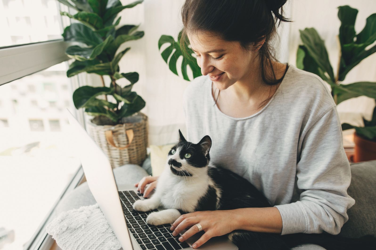 83% acreditam que o seu animal de estimação tem um impacto positivo na sua saúde mental