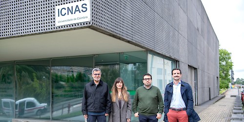 Investigadores de Coimbra mostram impacto real de uma terapia génica inovadora no tratamento de doença da visão