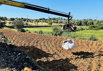Compostagem Comunitária dá frutos: EMARP entrega composto a agricultor da Mexilhoeira Grande