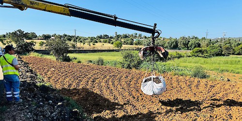 Compostagem Comunitária dá frutos: EMARP entrega composto a agricultor da Mexilhoeira Grande