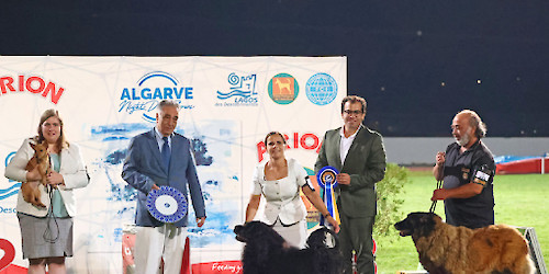 Exposições Caninas Noturnas do Algarve voltam a marcar presença em Lagos