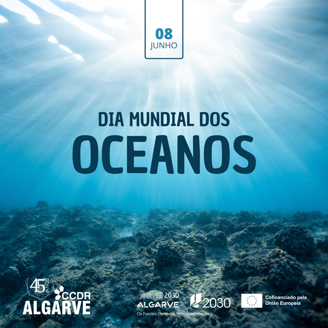 Proteger o oceano é investir no futuro do Algarve