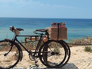 10.º Passeio de Bicicletas Antigas celebrou tradição e boa disposição em Budens - 1