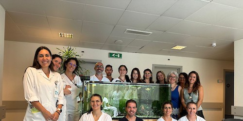 USF 7Mares inicia atividade em Portimão