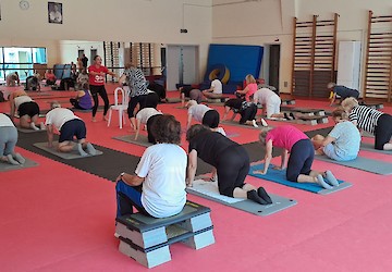 Faro celebrou a Festa Sénior com mais de 300 participantes