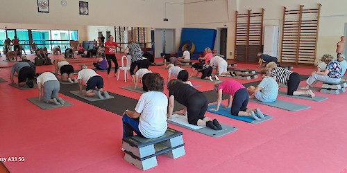 Faro celebrou a Festa Sénior com mais de 300 participantes