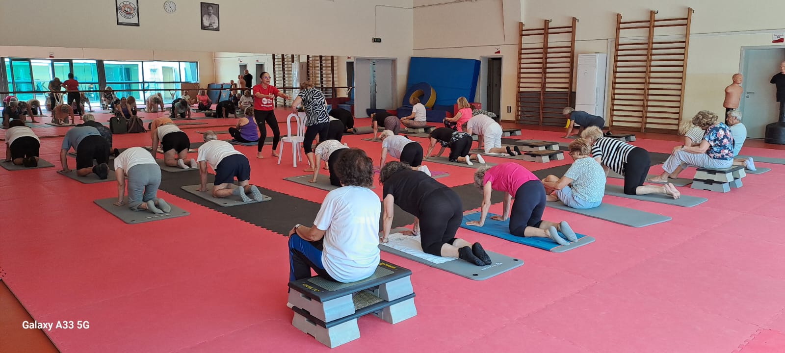 Faro celebrou a Festa Sénior com mais de 300 participantes