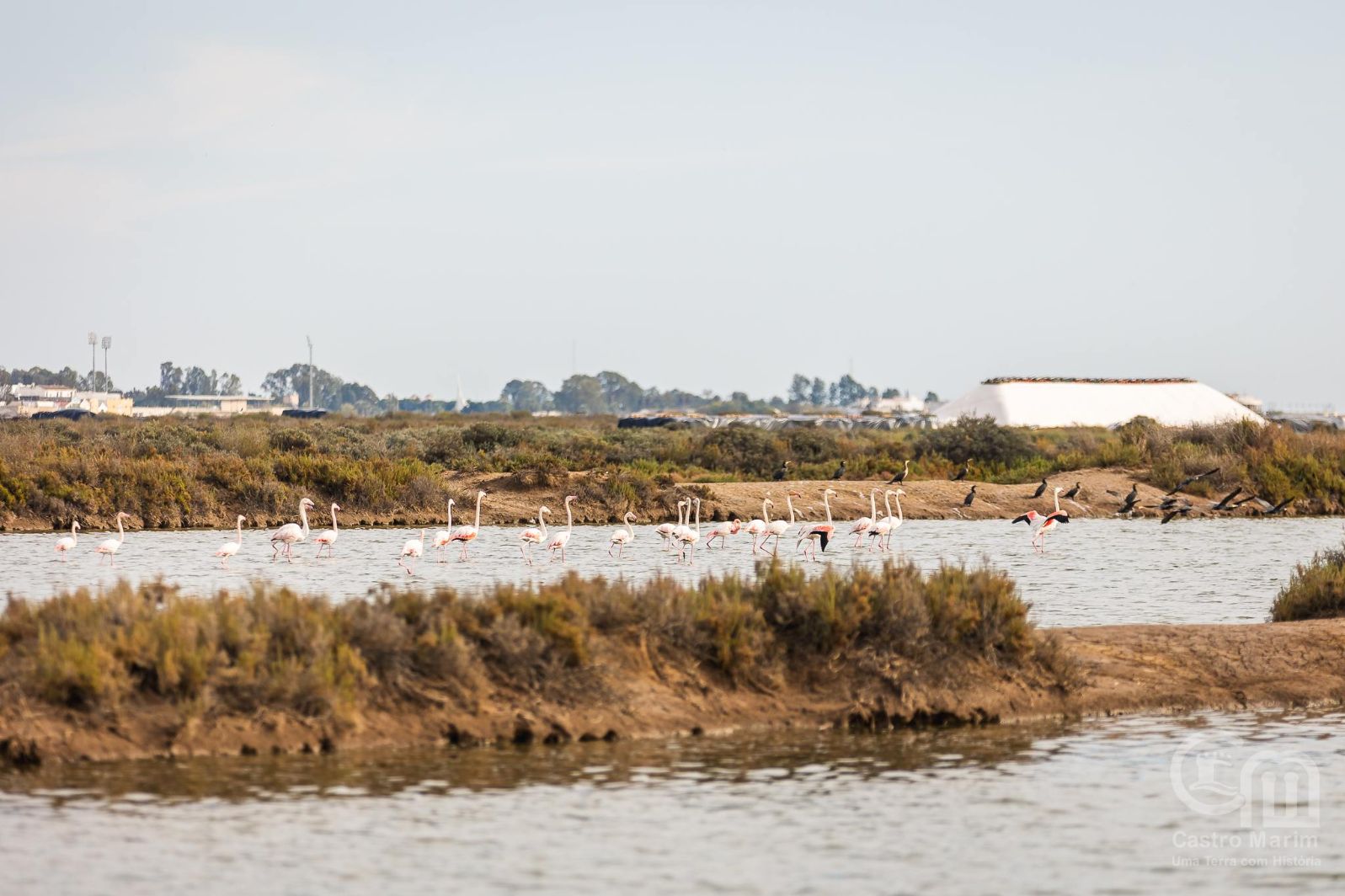 Município avança com candidatura da Reserva Natural do Sapal de Castro Marim e VRSA enquanto Reserva da Biosfera da UNESCO