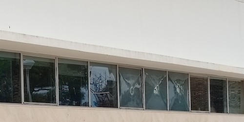 Segurança: Onda de montras partidas em Lagos incluindo a Câmara Municipal