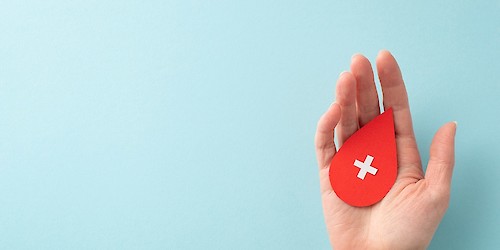 ULS Algarve reforça horários e colheitas extraordinárias para manter reservas de sangue