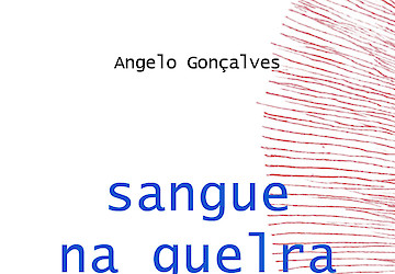 "sangue na guelra": nova exposição na Fortaleza de Sagres a partir de 8 de agosto